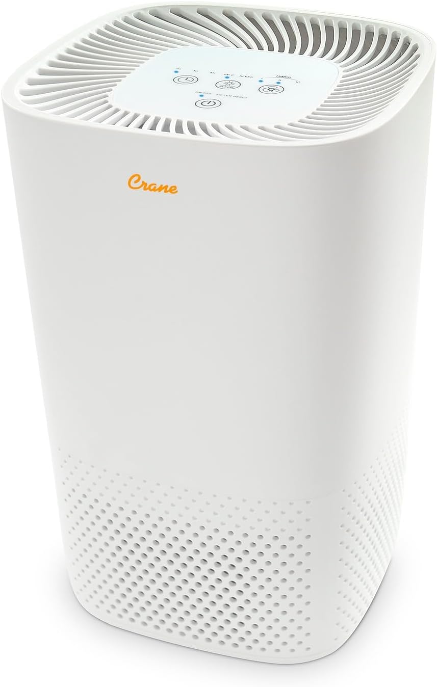 Crane Air Purifier Review